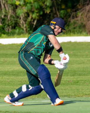 Cricket